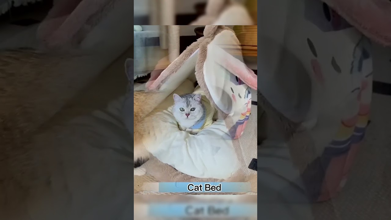 Budget-Friendly Pet Products That Actually Work 💰   🔗Link is  in My Bio🐑   