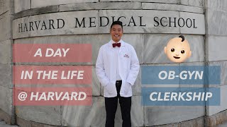 A Day In The Life At Harvard Medical School