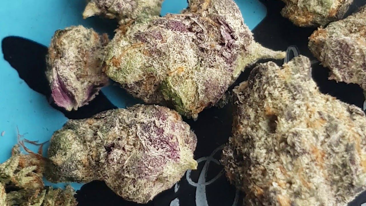 Sampling Cali Flavours 🔥🔥🔥