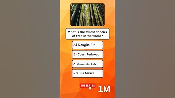 Tallest Tree #tree #gkshorts #quiz #shorts #youtubeshorts