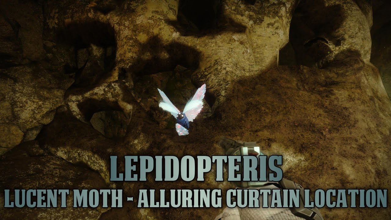 Destiny 2: Lucent Moths - Alluring Curtain Location (Lepidopteris Triumph)