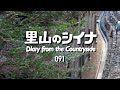 田舎暮らし 091:劇的変化!湿気の多い古民家の暗渠排水工事【後編】