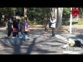 股間が骨折 !? D○ck Fracture - HARAKIRIBANZAI -