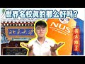 世界名校真的那么好？中国北大vs新加坡国立大学NUS【留学经验甘苦谈】