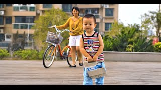 Phylion 22Nd Anniversary Testimonials From Users Worldwide