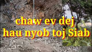 Coj Mus Saib Peb Lub Neej Nyob Rau Toj Siab Ev Dej Zoo Li Cas Nawj