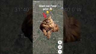 I Found Giant cat Food print 🐾🤯 on Google maps and google earth #shots #mr earth