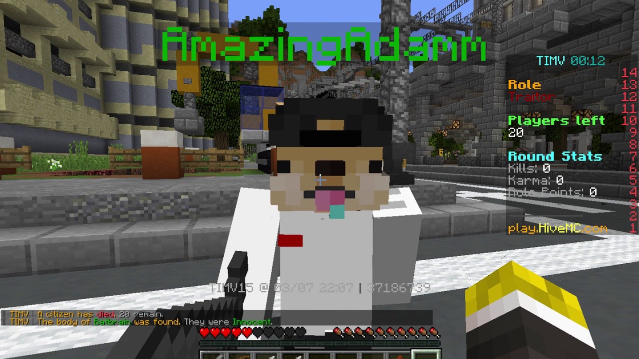 The Hive | TIMV | AmazingAdamm RDMing