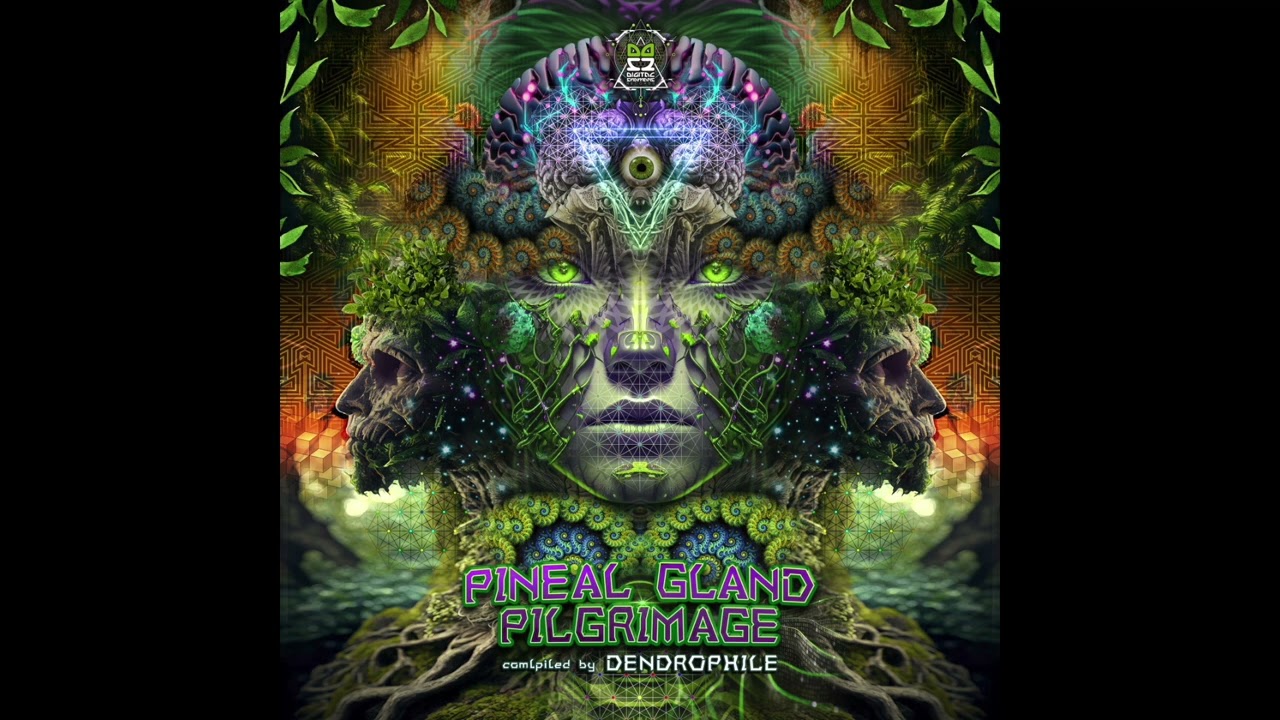 Jungli & Feral Ed - Is it Real (Out on Digital Shamans Records)