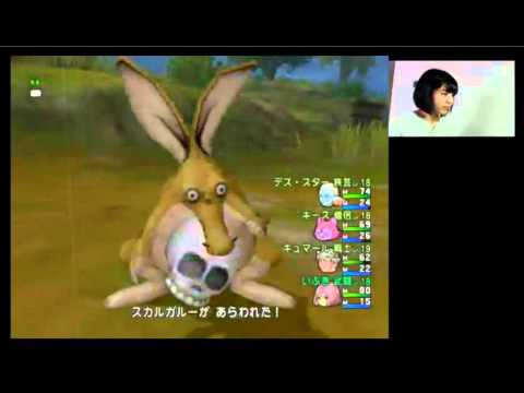 ドラハ始動 第５期初心者大使 兼田いぶき スカルガルー狩れるかな あと何するんだっけ ドラクエ１０ Youtube