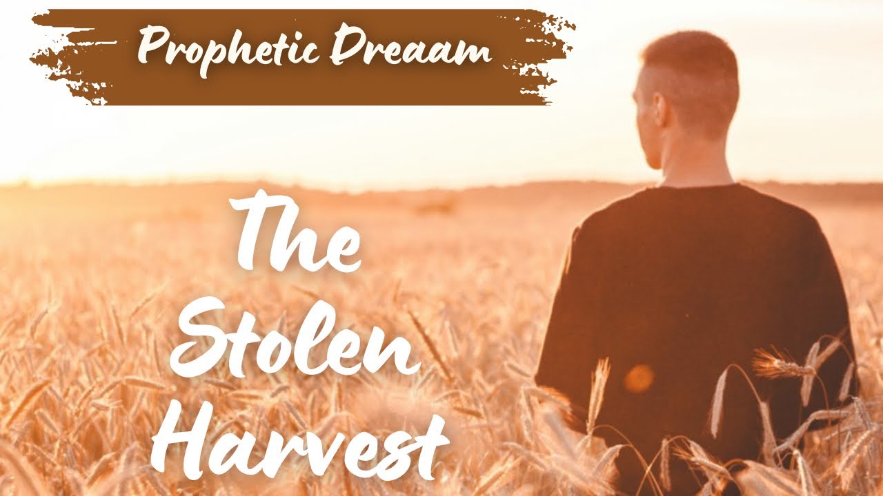 The Harvest Stolen in Silence