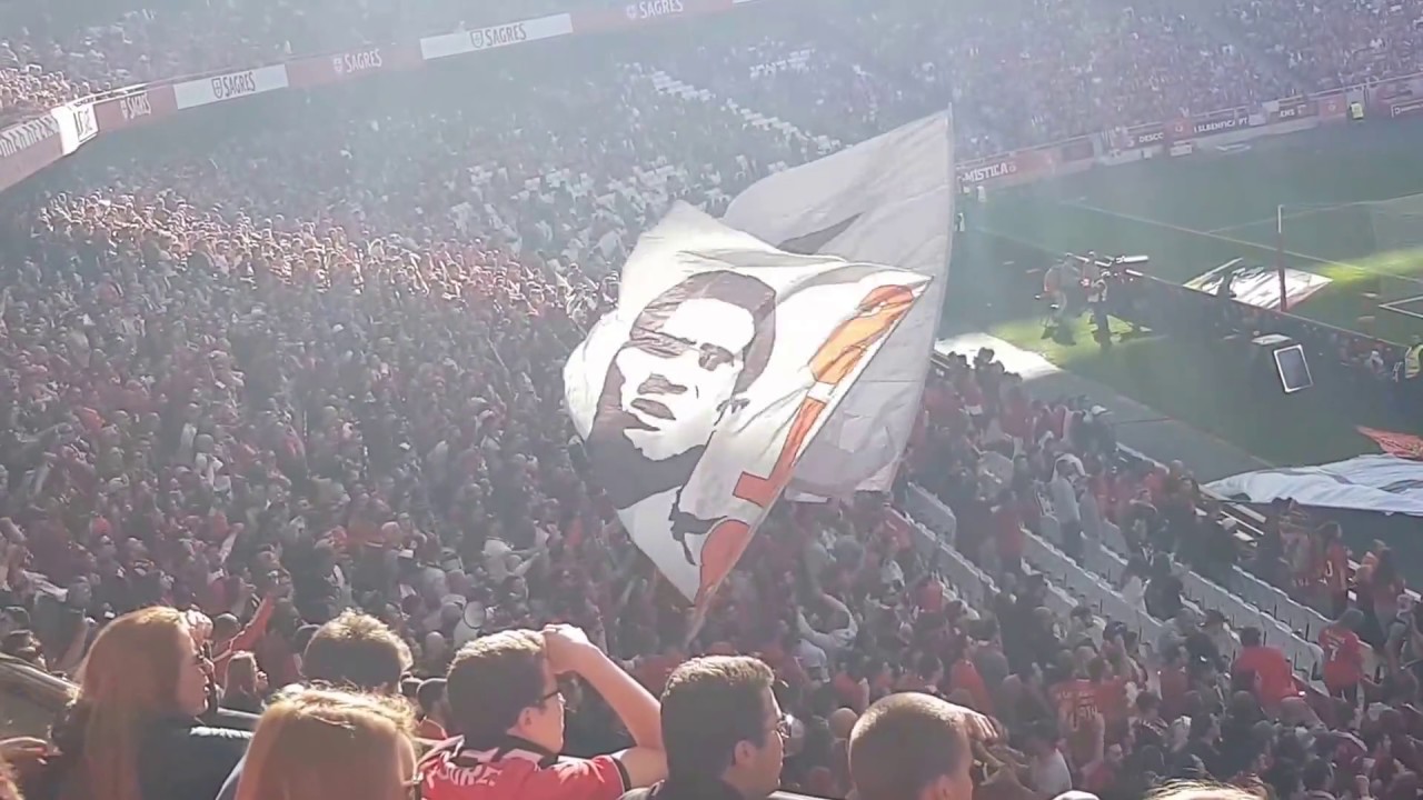 Benfica,  és o amor da minha vida! Que lindo é vermelho e branco!