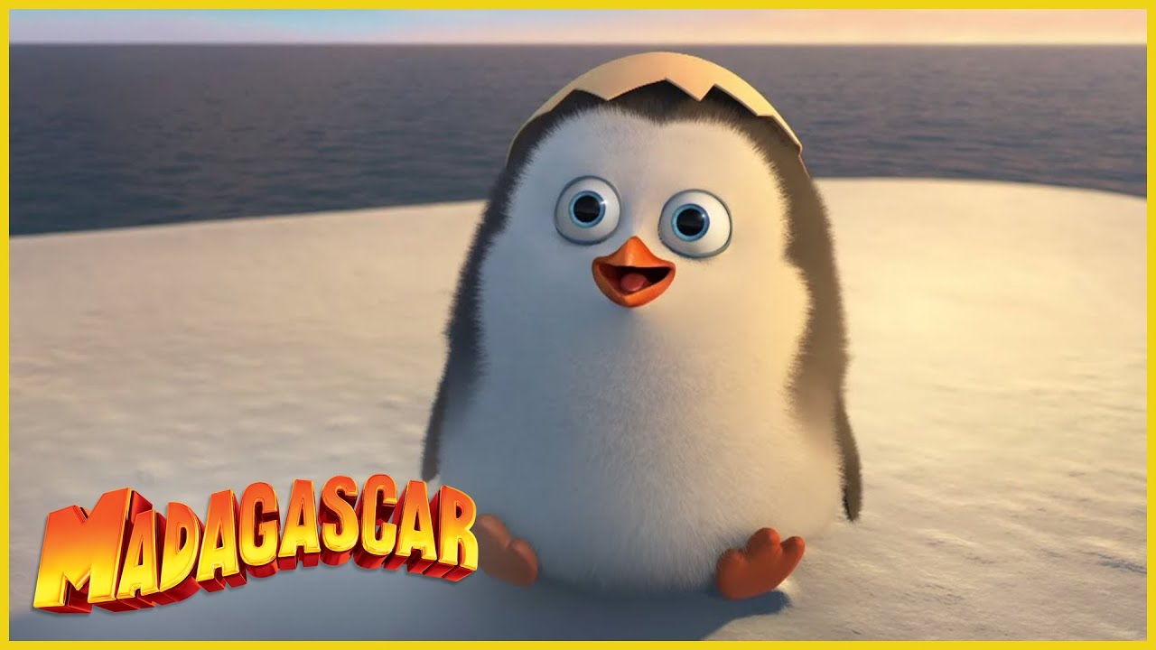 Dibujos animados los pinguinos de madagascar