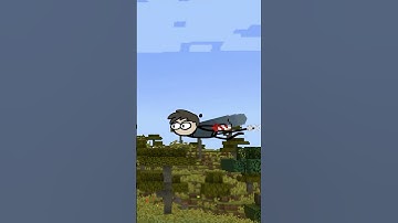 The Elytra Experience - minecraft animation