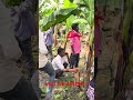 Imran Pratapgarhi in Bachhwara | Funny video