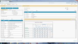 How to Use Quick Counts - WinCross Executive - Online Crosstabulation and Dashboards
