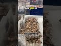 My girlfriend took one look at this seafood n said you need to film that and put it on social media