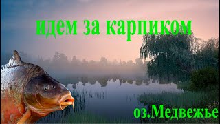 играем для души РР4