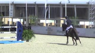 Stx Qui Suis Je Stephex Masters