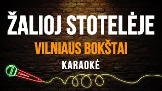 Video thumbnail of "Vilniaus Bokštai - Žalioj Stotelėje (Karaoke)"