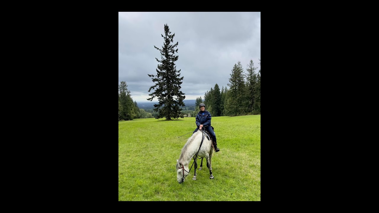 Episode 185 Finished Crocheted Wedding Shawl