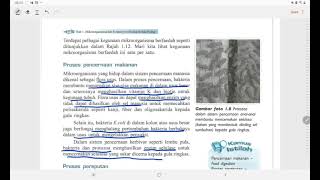 SAINS KSSM TINGKATAN 5 BAB 1 MIKROORGANISMA