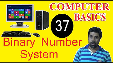 #COM37, BINARY NUMBER SYSTEM, বাইনারি নাম্বার সিস্টেম, #ComputerBasics37