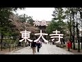 奈良 「東大寺」Todaiji Temple in Nara