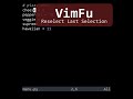 VimFu — Reselect Last Selection