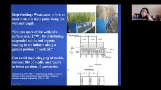 Constructed Wetland Design