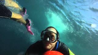 Aruba Bob Snorkeling & Seabob Aruba