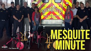 Mesquite Minute 5/25/17
