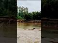 আউলিয়ার ঘাট পার হয়ে মারেয়া যাচ্ছি..... #reels #shortvideo #nature