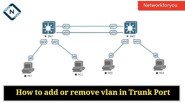 How to add or remove vlan in Trunk Port in CISCO Switch? | CCNA 200-301