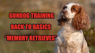 Gundog Training - Memory Retrieves