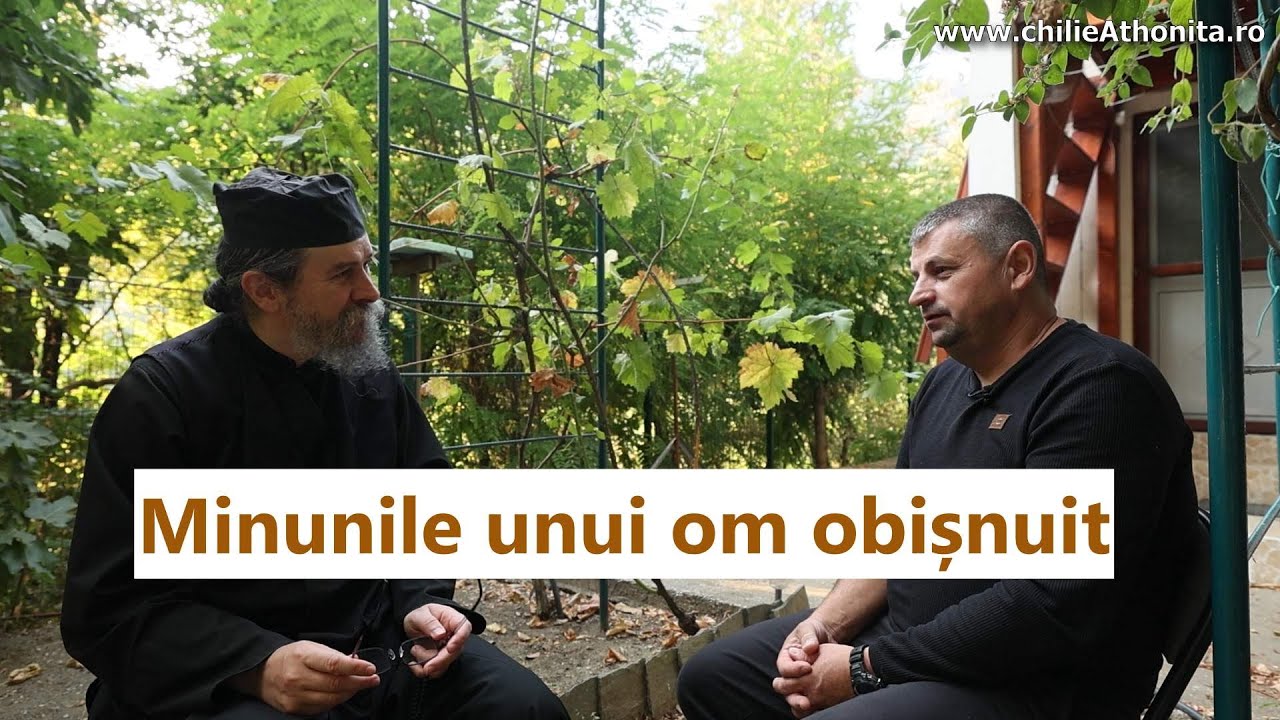 Minuni ale Maicii Domnului trăite de un om obișnuit: - Dorel Codrea, p. Teologos