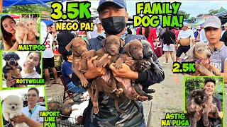 BAKA PWEDE DING GUARD DOG TO! ANDAMENG PAGPI PILIAN NGAYON SA BOCAUE BULACAN PET MARKET! 12/5/25