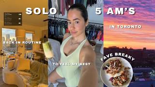 5 Am Productive Mornings In Toronto | Back In Routine, Cold Plunge, Sunrise Run & Workouts