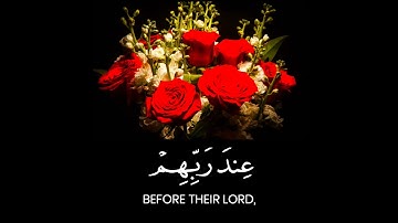 ايات قرانيه قصيره حالات واتس/راحه نفسيه/ارح سمعك /ارح قلبك/قران كريم بصوت جميل جدا/عبدالرحمن مسعد
