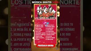 HJH MC01 RM01B SP 9X16 250811 HDgedan01