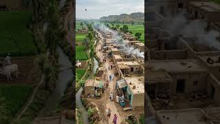 Village Chai Dhaba ☕ | Peaceful Pakistani Tea Stall Scene | Desi Life#shorts