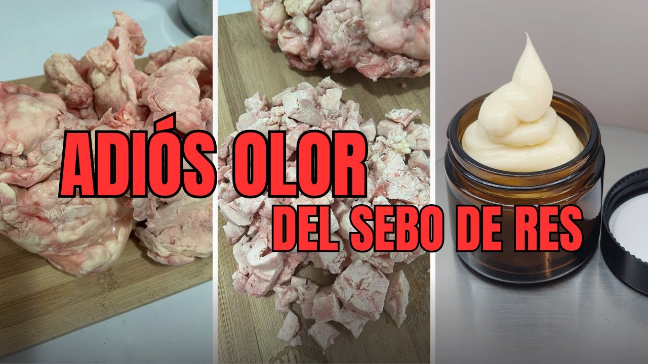 ¿Por qué tu cebo de res huele mal y cómo arreglarlo?