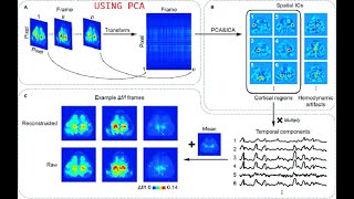 1.Visualization Machine Learning in Python : 1.5 Using PCA