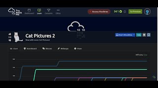 Tryhackme Cat Pictures 2 Walkthrough - Exiftool, #Gitea, #Ansible #CVE-2021-3156