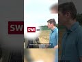 Genetically engineered barley grown in secured field in Zurich