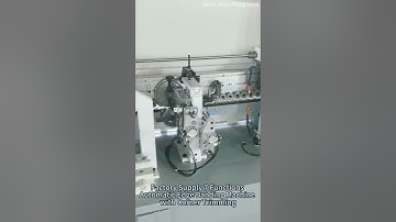 WF360G New Design Pre-Milling Edge Bander Straight High Speed PUR PVC Automatic Edge Banding Machine