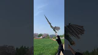 Incredible Realism The Most Unique Winged Drone Ever Built