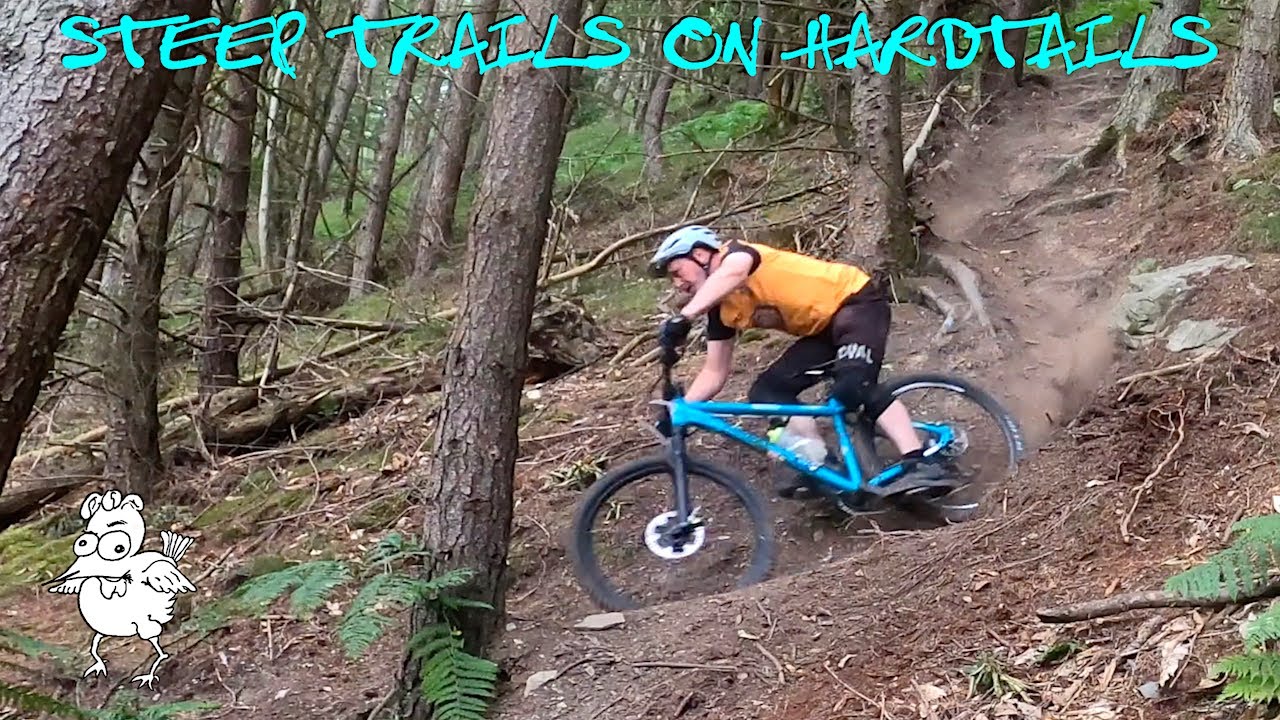 This trail is amazing | Riding steep stuff on Hardtails