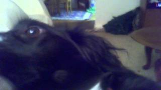 Itchy Tickle Legs Haha