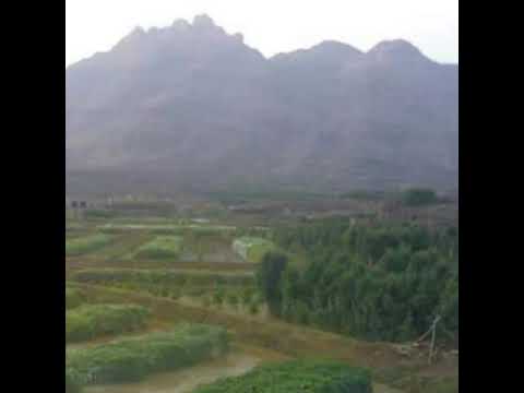 زامل احمد علامه تعزيه في الحاج احسن صالح السدمي مع الجواب